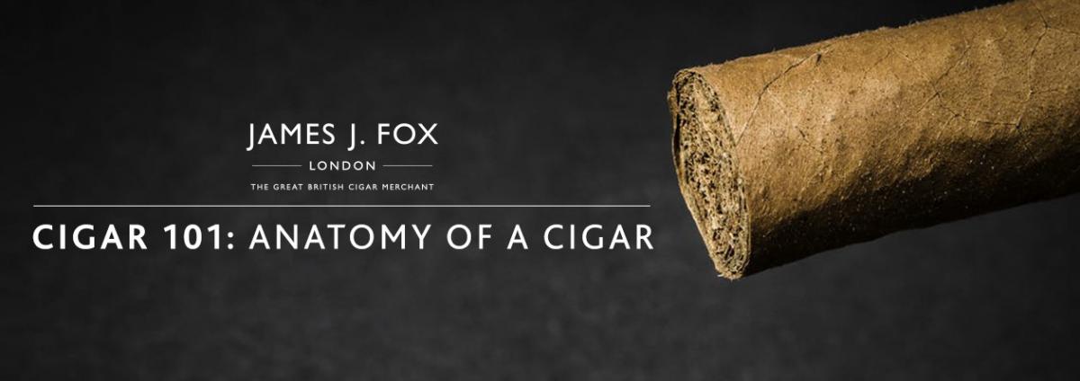 Cigar 101: Anatomy of a Cigar