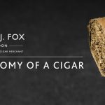 Cigar 101: Anatomy of a Cigar