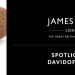 Spotlight On: Davidoff Cigars