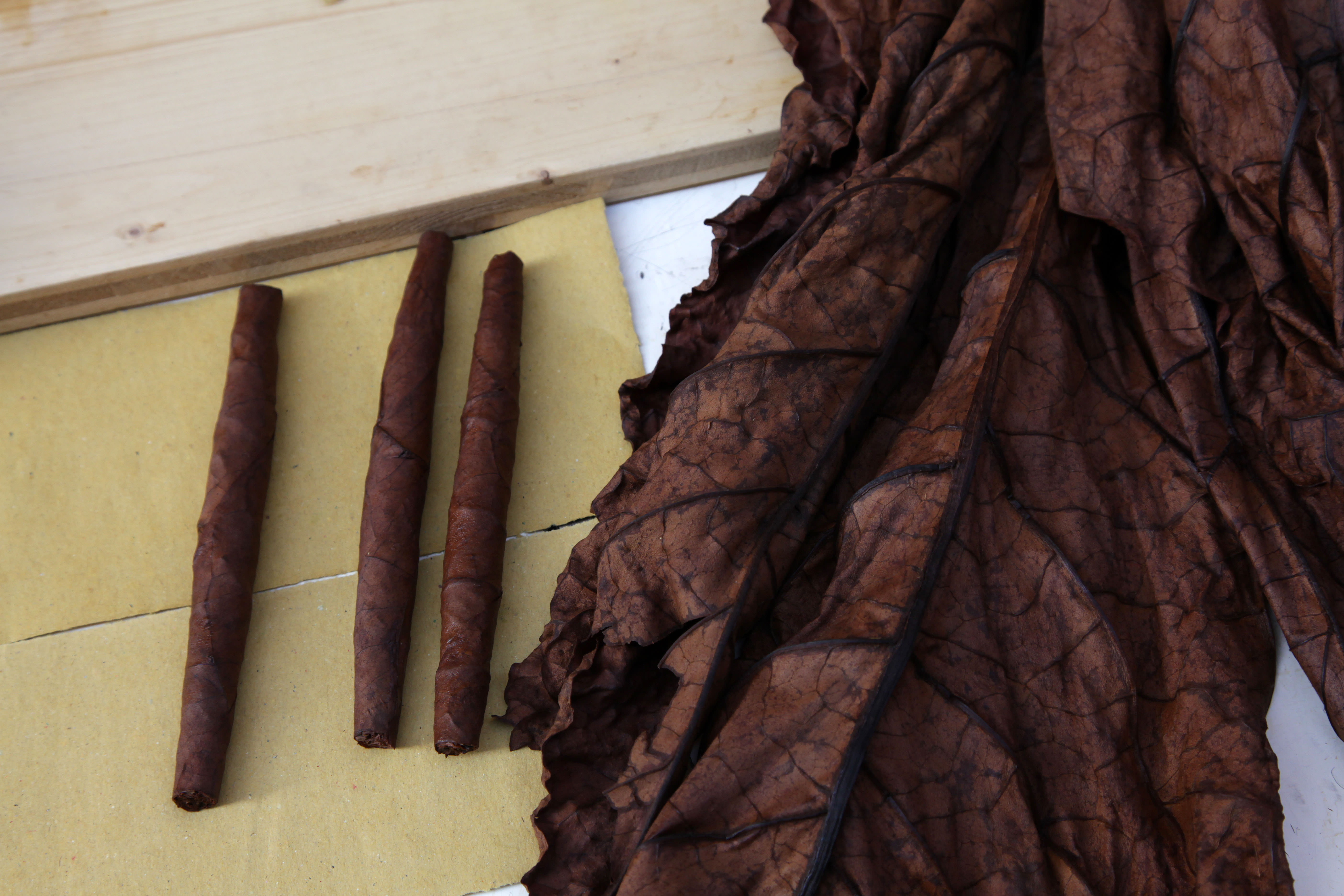 Tuscan Cigars