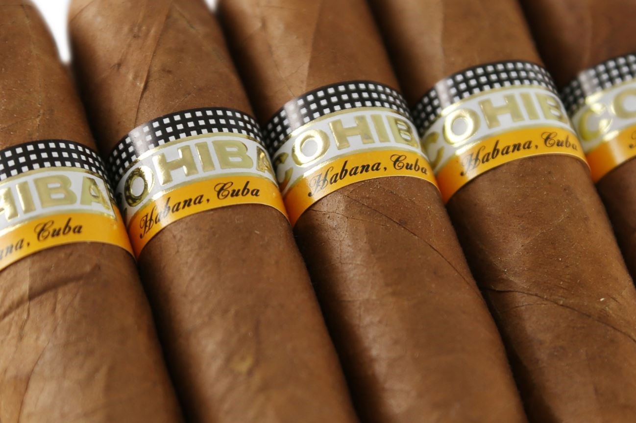 Cohiba Robusto