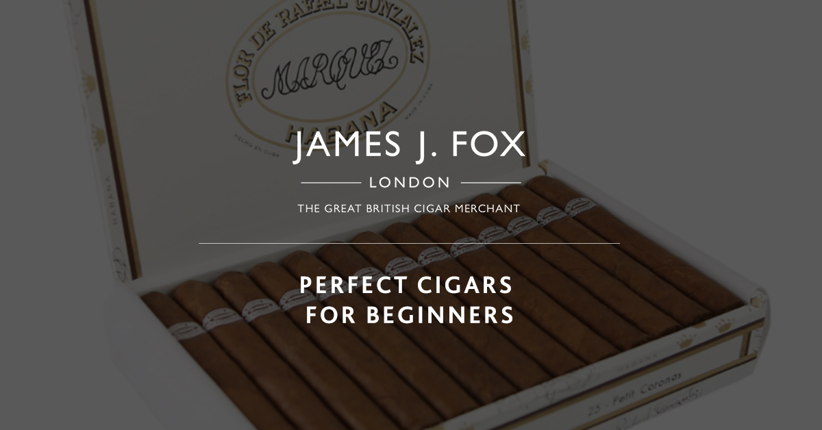 Perfect Cigars for Beginners