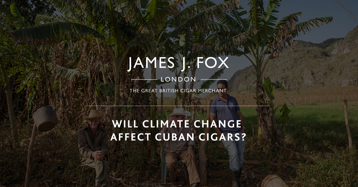 Will Climate Change Affect Cuban Cigars