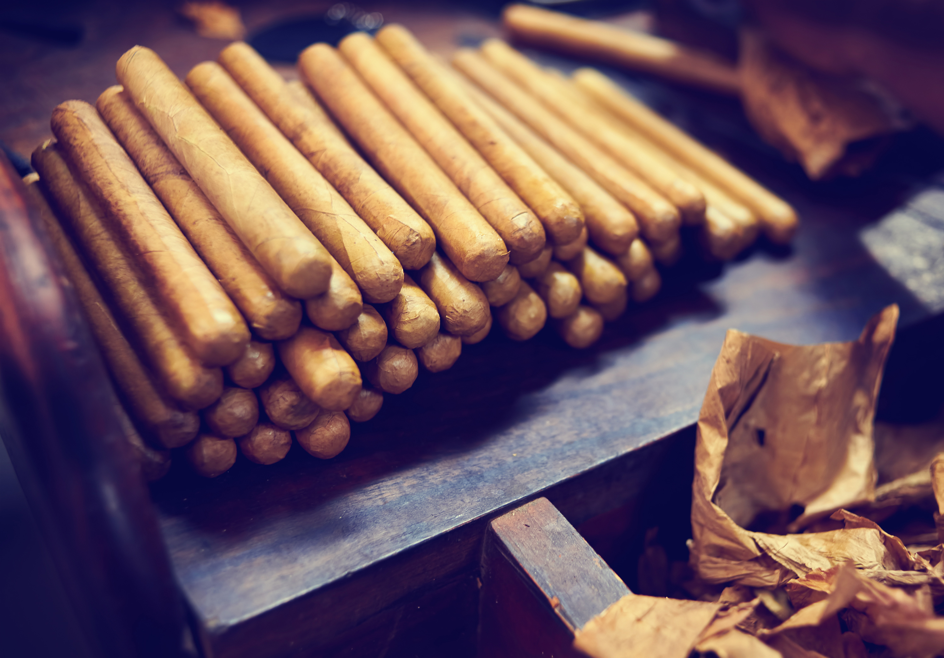 Dominican Republic Cigars